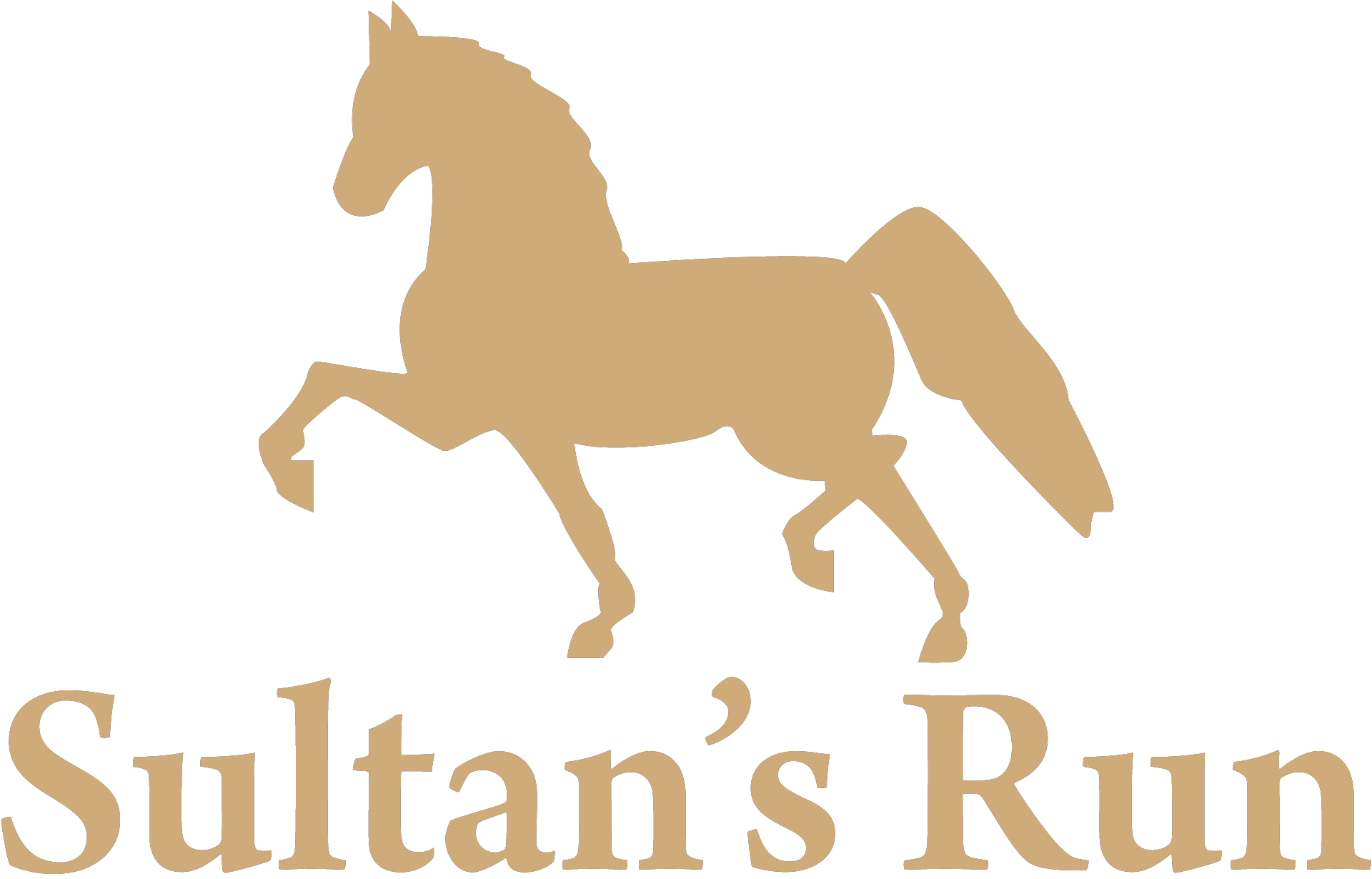 Sultan's Run Gold Logo