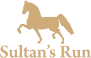 Sultan's Run Gold Logo